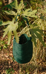 Bag / JNBYHOME Raffia Bucket Bag