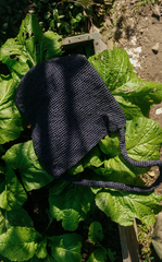 Bag / JNBYHOME Raffia Bucket Bag