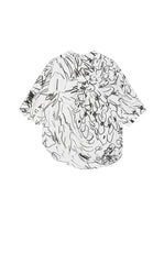 T-Shirt / JNBY Hand-Drawn Floral Wrap-Neck Cotton Top