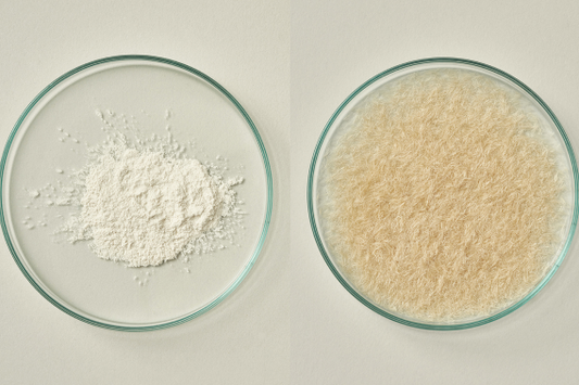 SUSTAINABLE RAW MATERIALS – SPIBER BREWED PROTEIN