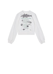 Sweaters / JNBY Crewneck Print Pullover (100% Cotton)