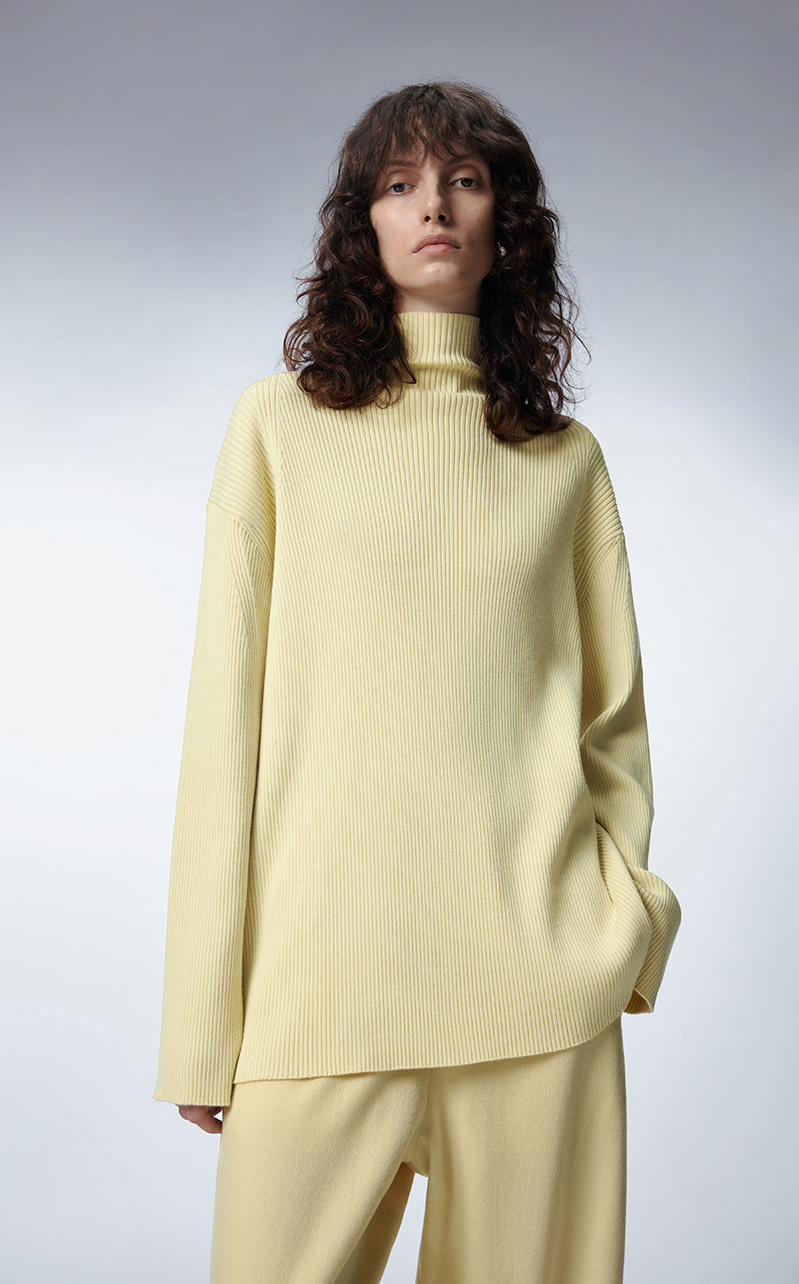 Sweater / JNBY Relaxed High-neck Wool Sweater